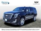 2019 Cadillac Escalade Luxury