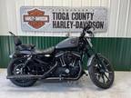 2022 Harley-Davidson Sportster Iron 883