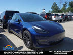 2022 Tesla Model 3 Blue