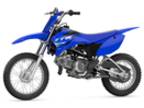 2025 Yamaha TTR110ES