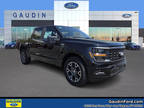 new 2024 Ford F-150 SuperCrew 5.5 Box STX