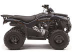 2025 Kawasaki Brute Force 300