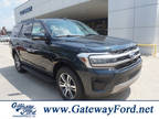 2024 Ford Expedition Blue, new