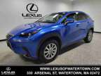 2019 Lexus NX 300h