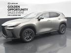 2025 Lexus NX