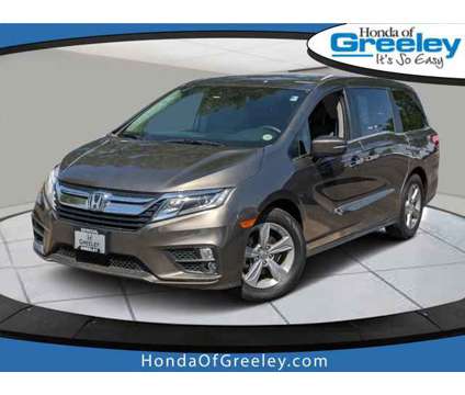 2020 Honda Odyssey EX is a Blue 2020 Honda Odyssey EX Car for Sale in Greeley CO