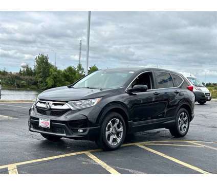 2019 Honda CR-V EX is a Black 2019 Honda CR-V EX Car for Sale in Elgin IL