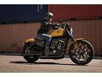 2019 Harley-Davidson Iron 883™