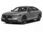 2024 Honda Accord Gray, new