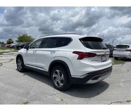 2023 Hyundai Santa Fe SEL is a White 2023 Hyundai Santa Fe SUV in Leesburg FL