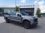 2024 Ford F-250 Gray, 299 miles