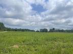 Beartown Rd, Loretto, Plot For Sale