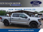 2024 Ford F-150 Silver, 11 miles