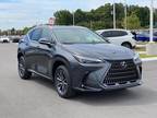 2025 Lexus Gray