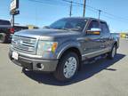 2010 Ford F-150 Platinum