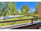 Guardino Dr Apt,fremont, Condo For Sale