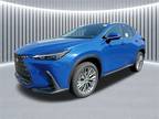 2025 Lexus Blue