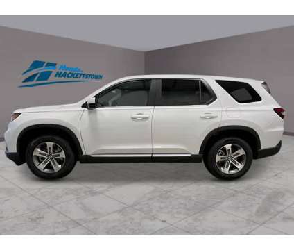 2025NewHondaNewPilotNewAWD is a Silver, White 2025 Honda Pilot Car for Sale in Hackettstown NJ