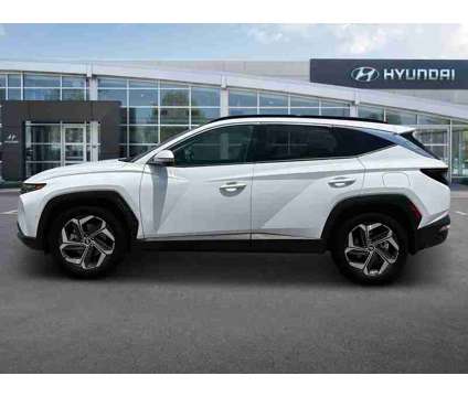 2024 Hyundai Tucson Limited is a White 2024 Hyundai Tucson Limited SUV in Holyoke MA