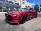 2019 Ford Mustang, 36K miles