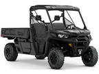 2020 Can-Am Defender Pro XT HD10