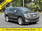 2015 Cadillac Escalade Platinum Edition