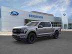 2024 Ford F-150 Gray, new