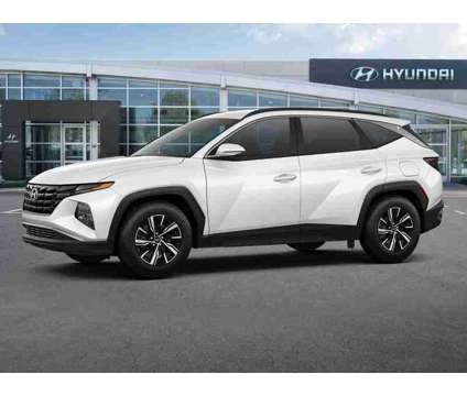 2022 Hyundai Tucson Hybrid Blue is a White 2022 Hyundai Tucson Hybrid in Daytona Beach FL