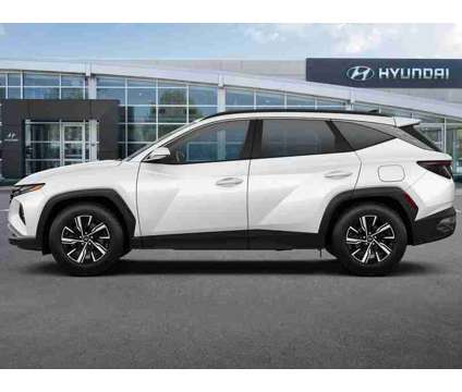 2022 Hyundai Tucson Hybrid Blue is a White 2022 Hyundai Tucson Hybrid in Daytona Beach FL