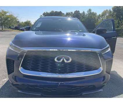 2025 Infiniti QX60 AUTOGRAPH AWD is a Black, Blue 2025 Infiniti QX60 SUV in Louisville KY