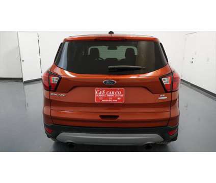 2019 Ford Escape SE is a Orange 2019 Ford Escape SE SUV in Waterloo IA