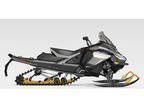 2025 Ski-Doo Renegade Adrenaline 900 ACE Turbo ES Ripsaw 1.25