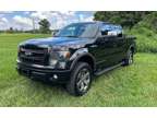 2014 Ford F150 SuperCrew Cab for sale