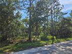 Ne St Ter, Crystal River, Plot For Sale