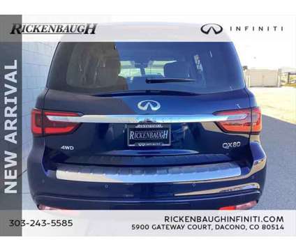 2024 Infiniti QX80 LUXE AWD is a Blue 2024 Infiniti QX80 SUV in Dacono CO