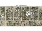 Palmetto St Lot -, Paisley, Plot For Sale