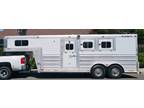 2008 Platinum 3H GN Slant 3 horses