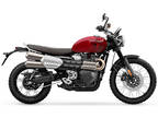 2025 Triumph Scrambler 1200 X