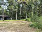 Pine Tree Rd, Palatka, Plot For Sale