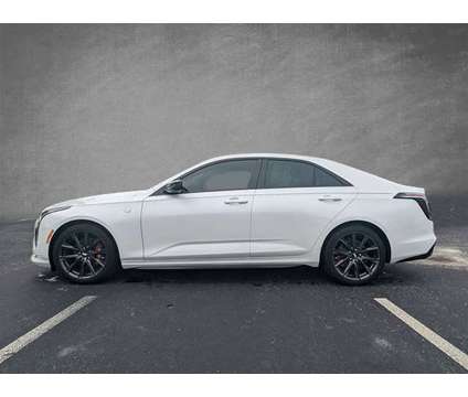 2024 Cadillac CT4 Sport is a White 2024 Sedan in Leesburg FL