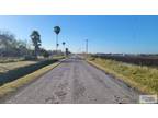 N Tamm Acres Ln Unit,harlingen, Home For Sale