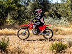 2025 Honda CRF125F - Big Wheel