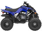 2025 Yamaha Raptor 110