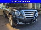 2019 Cadillac Escalade Platinum Edition