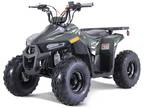 2023 Tao Motor MudHawk 6