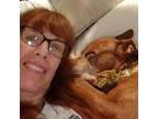 Experienced Pet Sitter in New Haven, MI Trustworthy Care at $16/hr