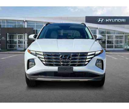 2024 Hyundai Tucson Plug-in Hybrid Limited is a White 2024 Hyundai Tucson Hybrid in Palatine IL