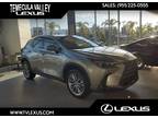 2025 Lexus Gray, new