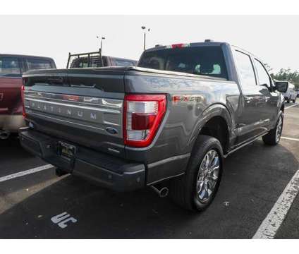 2023 Ford F-150 Platinum is a Grey 2023 Ford F-150 Platinum Car for Sale in Homosassa FL