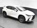 2024 Lexus NX 250 Base